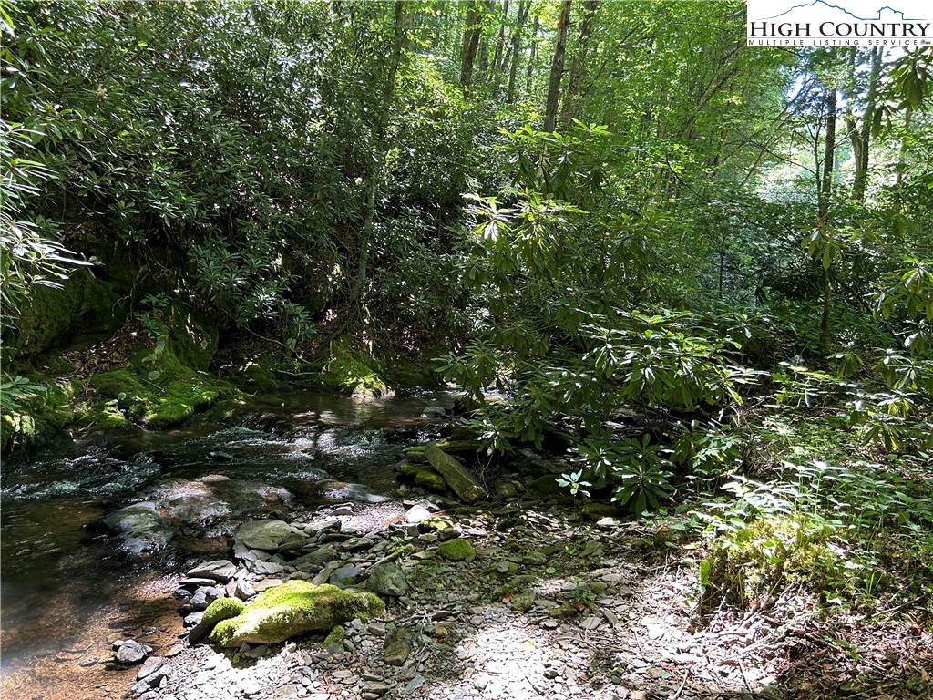 Boone, North Carolina 28607, United States, ,Land,Active,48890