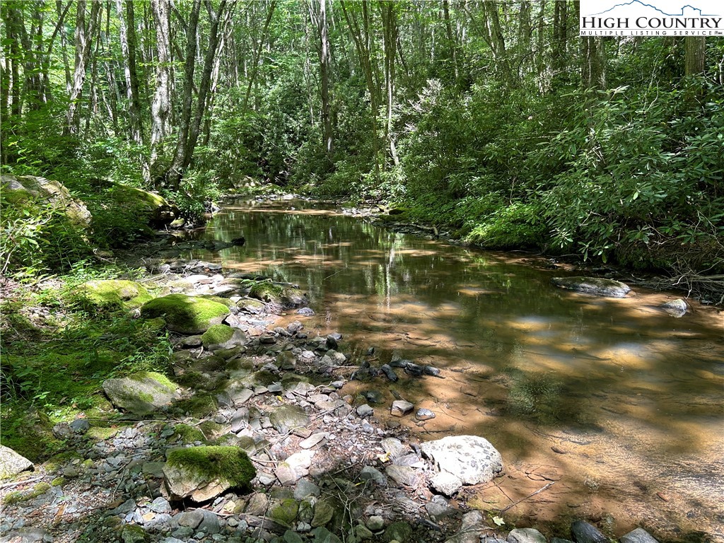 Boone, North Carolina 28607, United States, ,Land,Active,48890