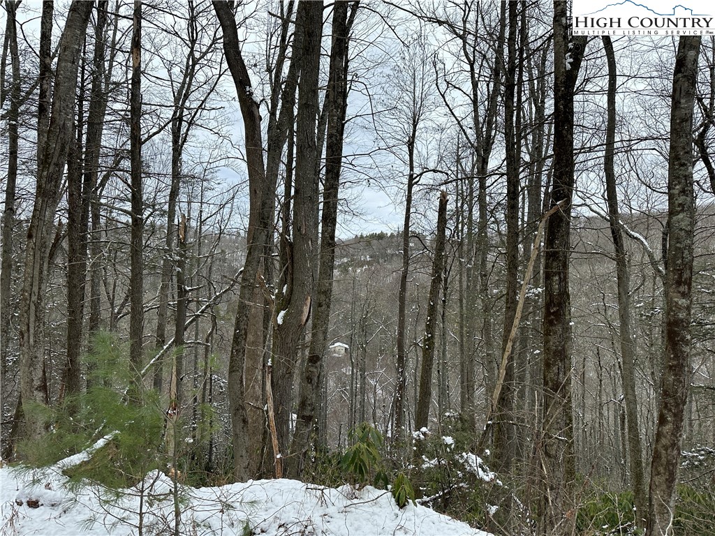 Boone, North Carolina 28607, United States, ,Land,Active,48890