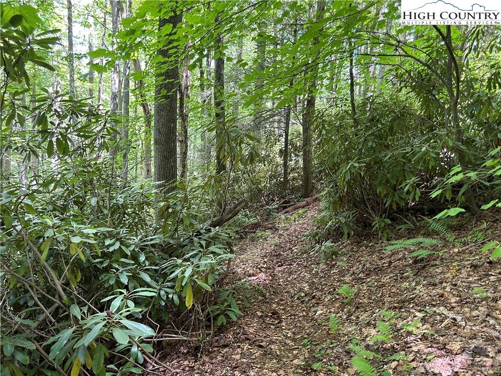 Boone, North Carolina 28607, United States, ,Land,Active,48890