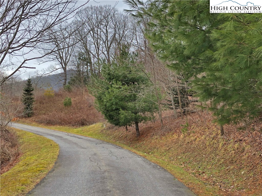 Blowing Rock, North Carolina 28605, United States, ,Land,Active,75406