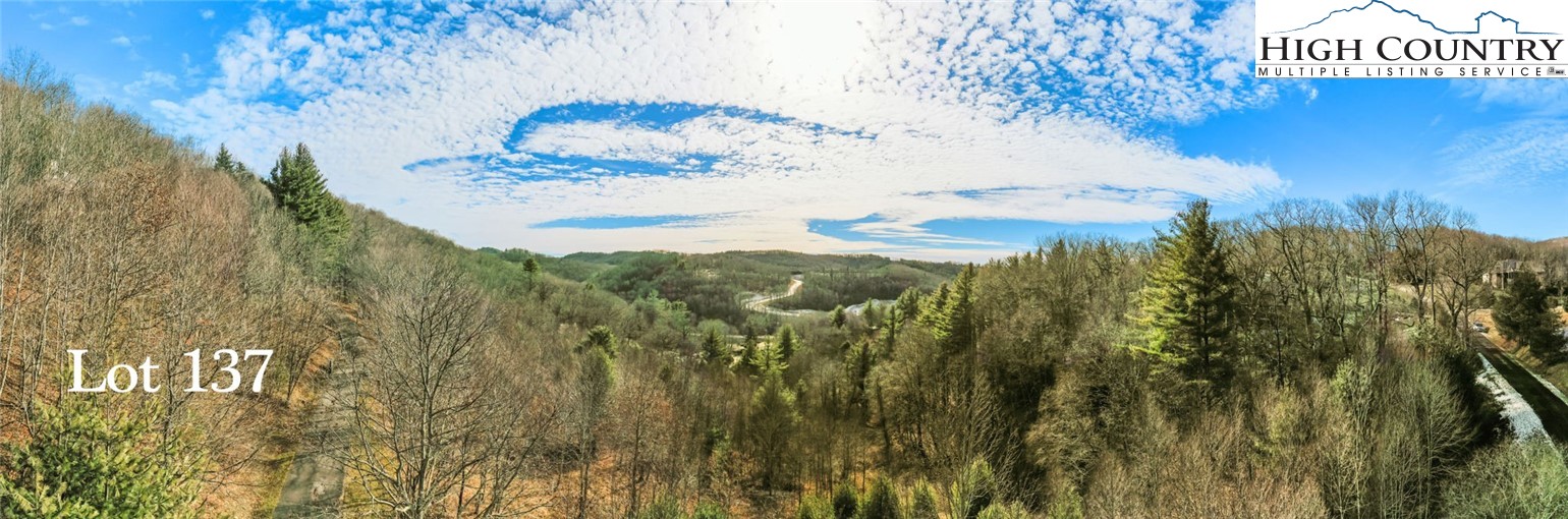 Blowing Rock, North Carolina 28605, United States, ,Land,Active,75406