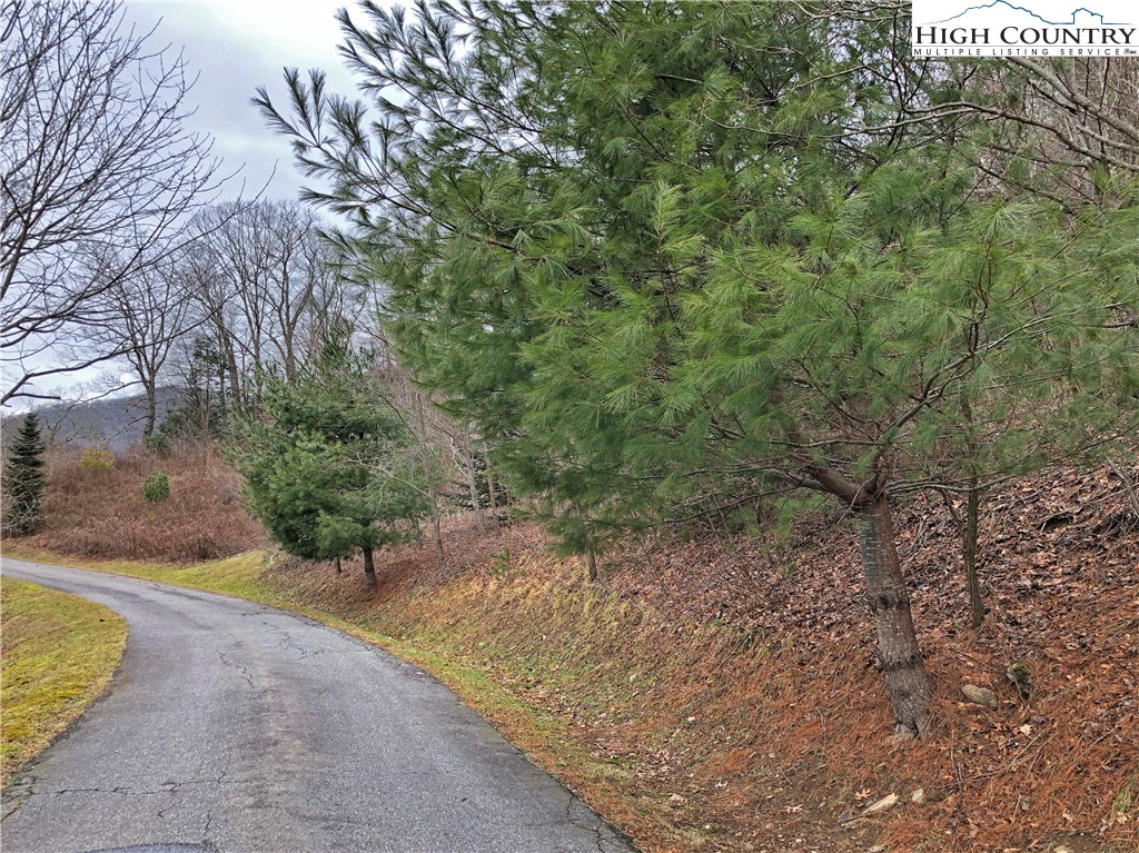 Blowing Rock, North Carolina 28605, United States, ,Land,Active,75406