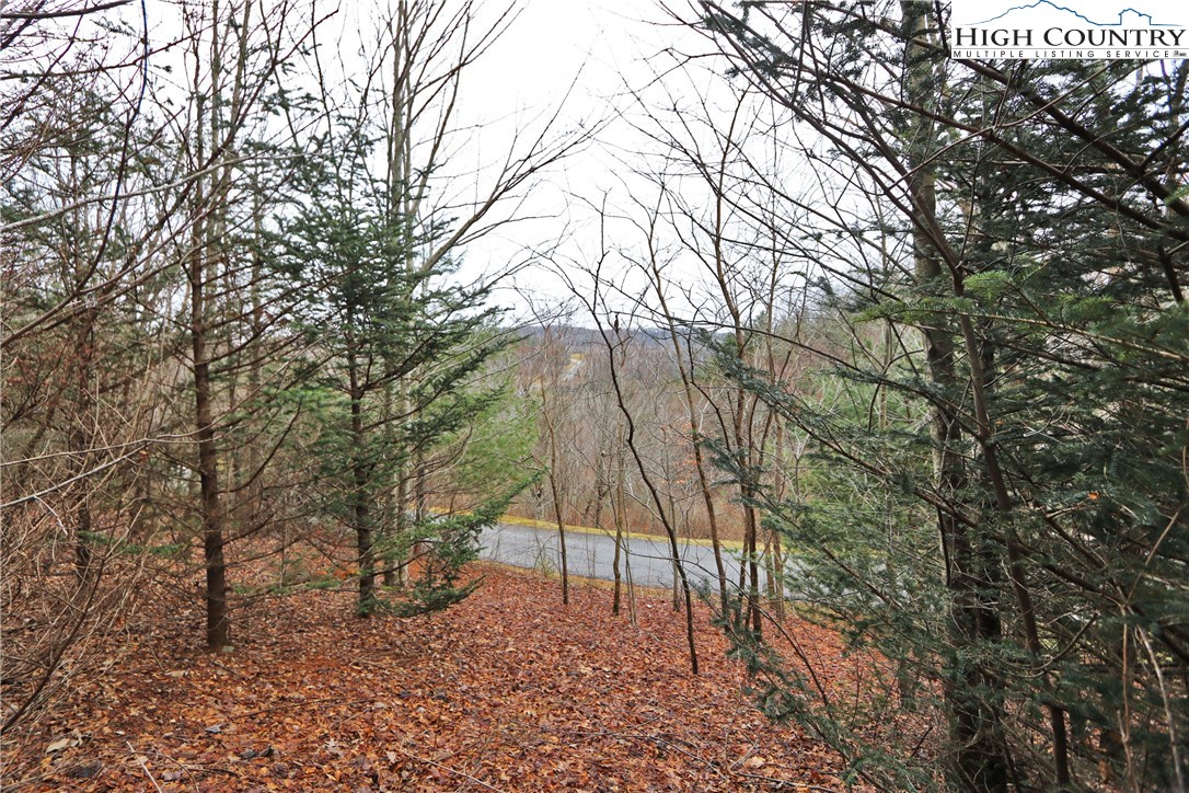 Blowing Rock, North Carolina 28605, United States, ,Land,Active,75406