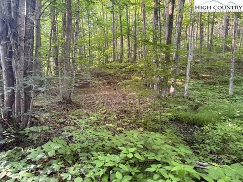 Vacant Land For Sale - LOT 56 Beechwood Circle<br/> Creston, NC 28615