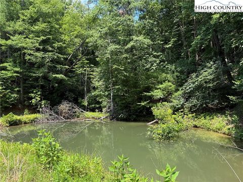 Photo of TBD Staghorn Road, Purlear, NC 28665 (MLS # 256746)