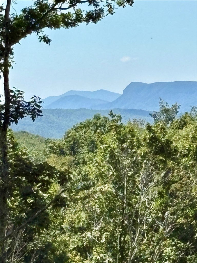 TBD High Forest Drive