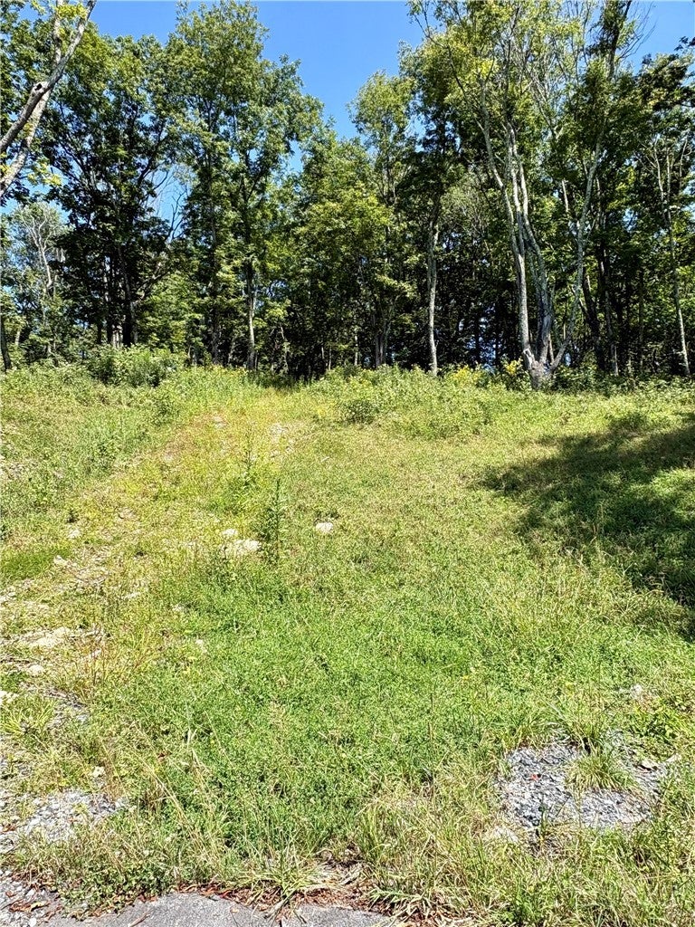 TBD High Forest Drive