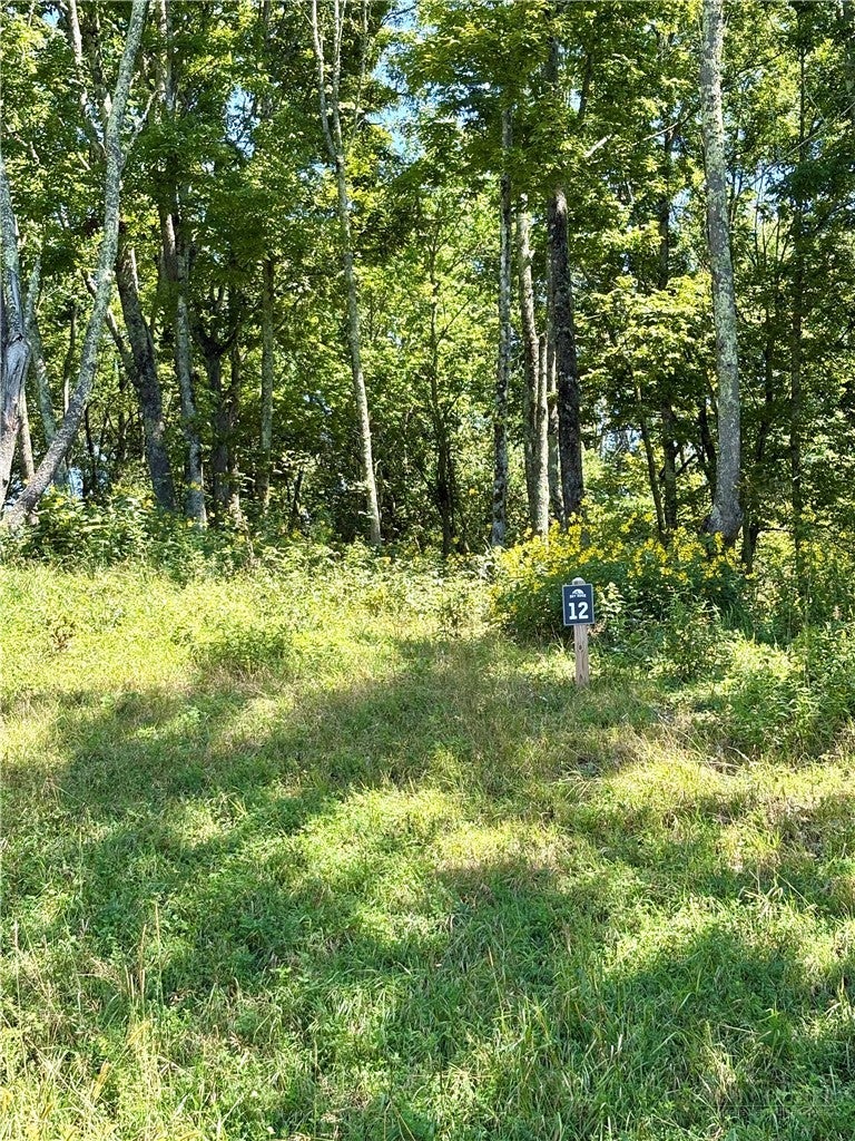 TBD High Forest Drive