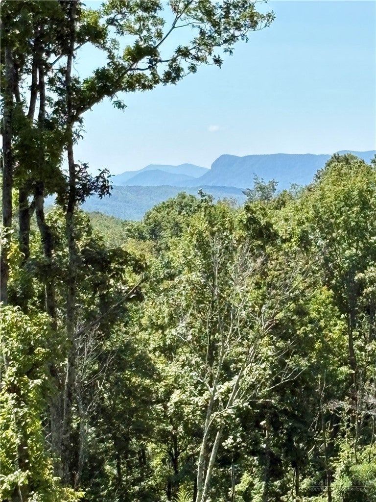TBD High Forest Drive