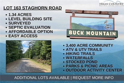 Photo of Lot 163 Staghorn Road, Purlear, NC 28665 (MLS # 257939)