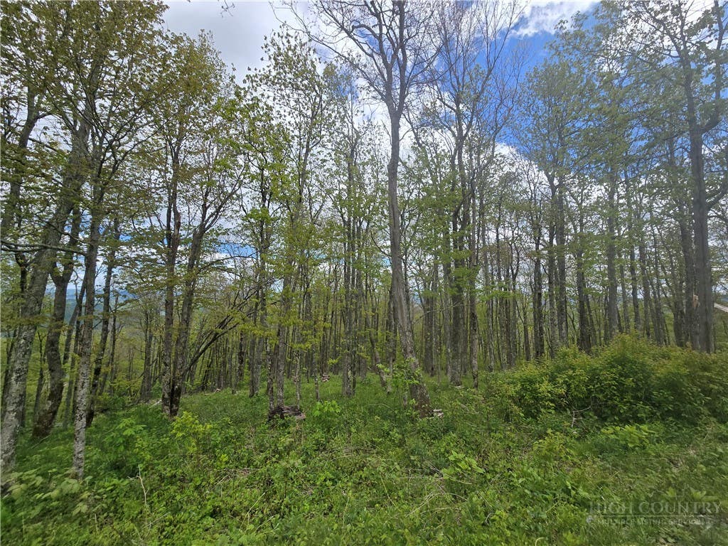 Photo of Lot 86 Elk Mountain Parkway, Todd, NC 28684 (MLS # 263396)