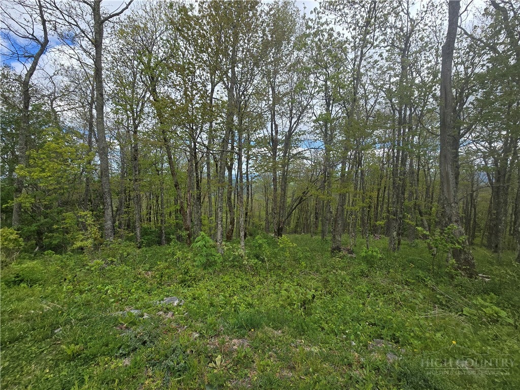 Photo of Lot 86 Elk Mountain Parkway, Todd, NC 28684 (MLS # 263396)