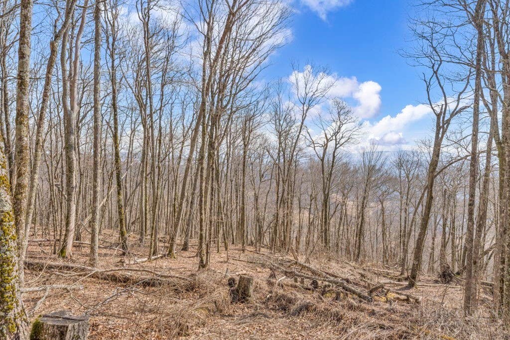 Photo of Lot 86 Elk Mountain Parkway, Todd, NC 28684 (MLS # 263396)