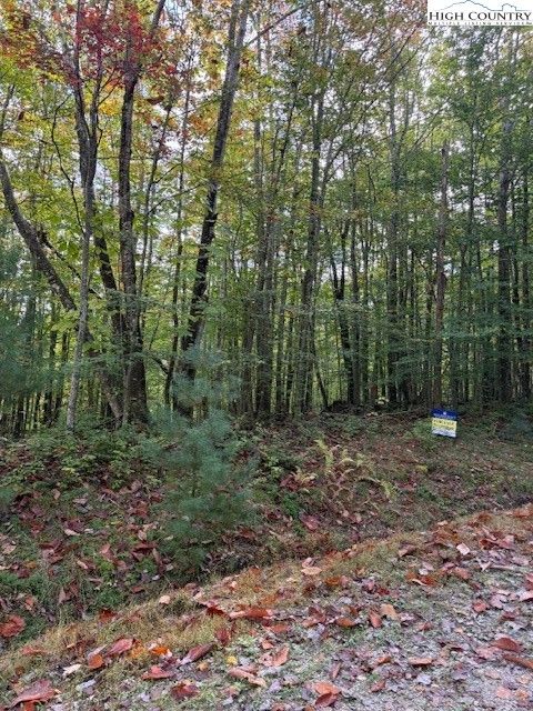 Photo of Lot 44A Buckeye Ridge Road, Beech Mountain, NC 28604 (MLS # 258552)