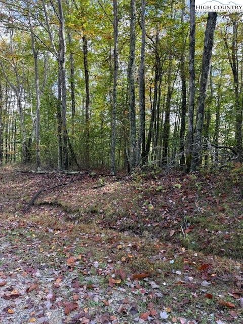 Photo of Lot 44A Buckeye Ridge Road, Beech Mountain, NC 28604 (MLS # 258552)