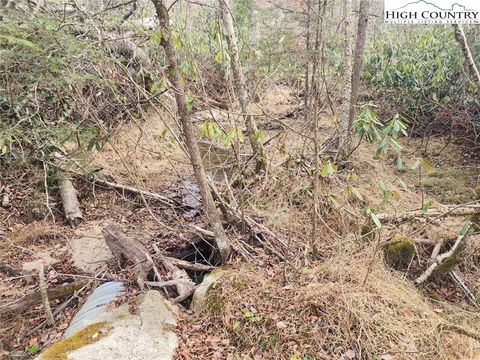 Photo of 111 Willow Run, Beech Mountain, NC 28604 (MLS # 259209)