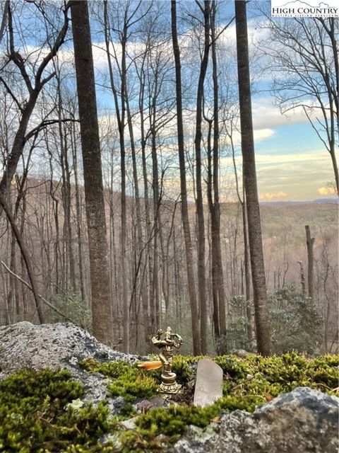 Photo of 48 Wildcat Wilderness Parkway, Deep Gap, NC 28618 (MLS # 257211)