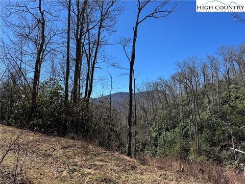Photo of TBD Tall Tree Lane #70, Banner Elk, NC 28604 (MLS # 260838)