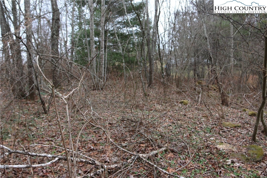 TBD Cedar Hill Drive