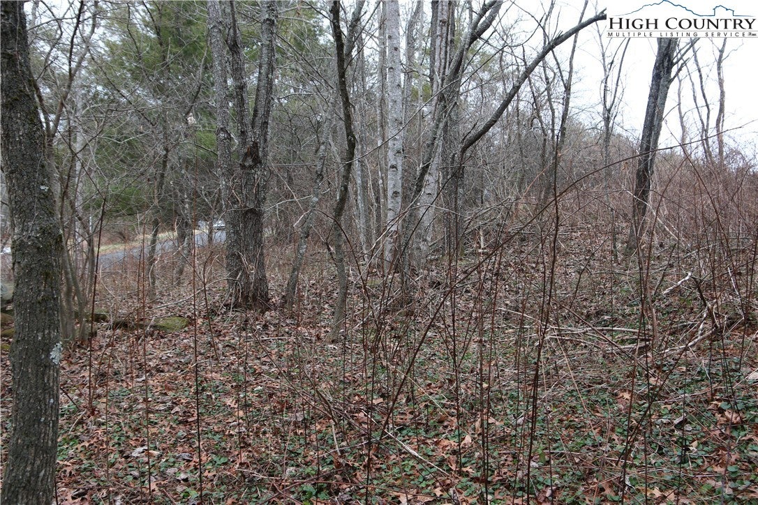 TBD Cedar Hill Drive