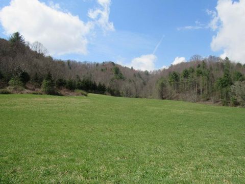 Photo of TBD Big Laurel Road, Creston, NC 28615 (MLS # 261087)