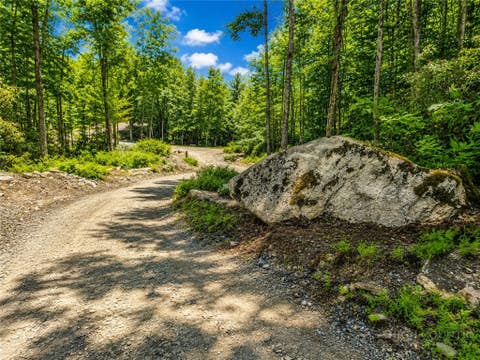 Vacant Land For Sale - LOT #96 Eagles Nest Trail Trail<br/> Banner Elk, NC 28622