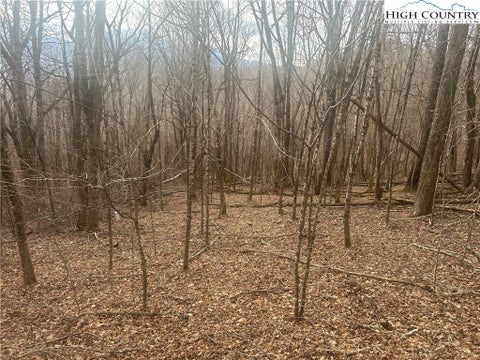 Vacant Land For Sale - TBD Rainbow Ridge Road<br/> Zionville, NC 28698