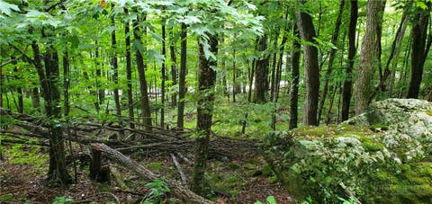Photo of lot 81 Throncliff Drive, Seven Devils, NC 28607 (MLS # 262996)