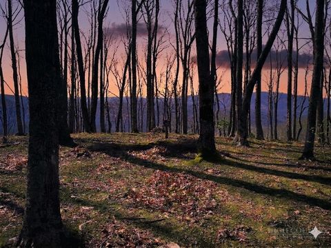 Photo of G30 Lodge Woods Trail, Banner Elk, NC 28604 (MLS # 261129)