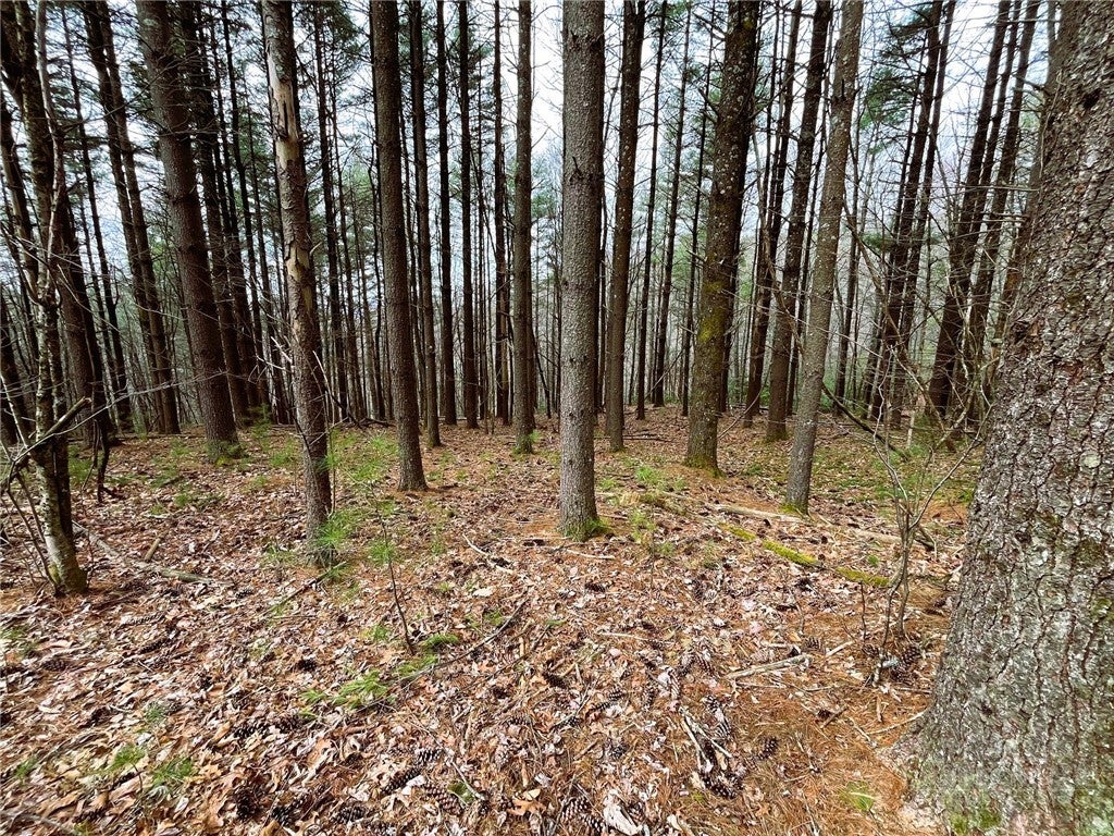 Lot #25 Cedar Ridge Drive