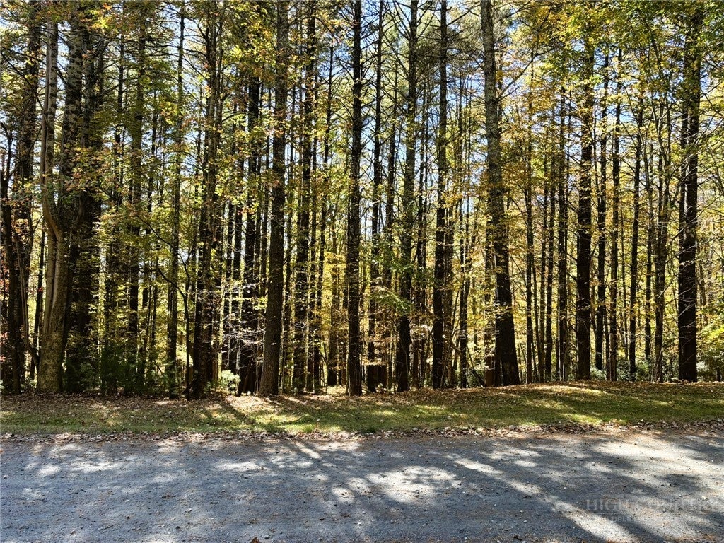 Lot #25 Cedar Ridge Drive