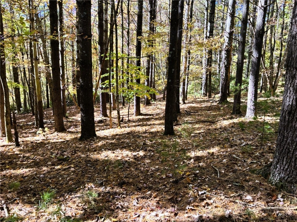 Lot #25 Cedar Ridge Drive