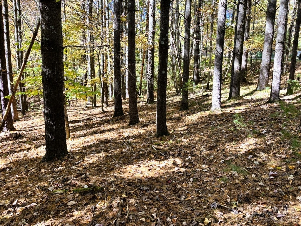 Lot #25 Cedar Ridge Drive