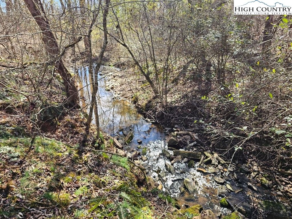 Photo of 667 Pads Road, Wilkesboro, NC 28697 (MLS # 260085)