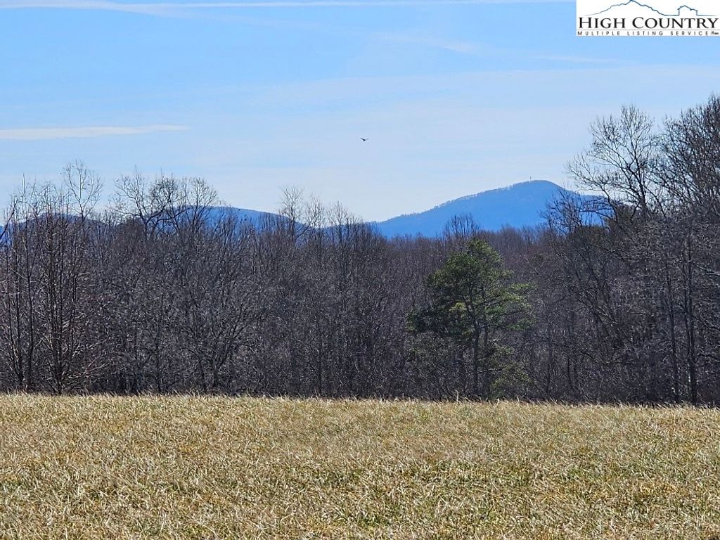 Photo of 667 Pads Road, Wilkesboro, NC 28697 (MLS # 260085)