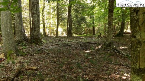 Photo of 127 Wild Daisy Ln, Beech Mountain, NC 28604 (MLS # 251833) Photo of 127 Wild Daisy Ln, Beech Mountain, NC 28604 (MLS # 251833)