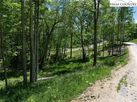 Photo of WR33 Sierra Trail, Elk Park, NC 28622 (MLS # 255751)