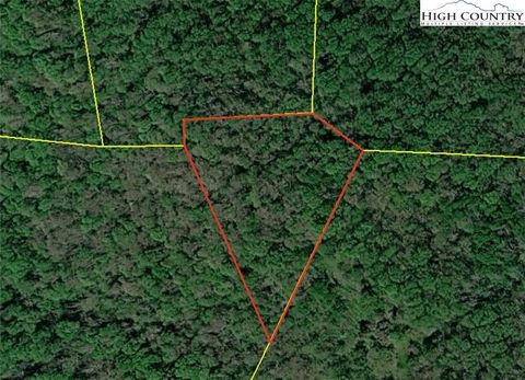 Vacant Land For Sale - TBD Ed Williams Road<br/> Watauga County, Zionville, NC 28698