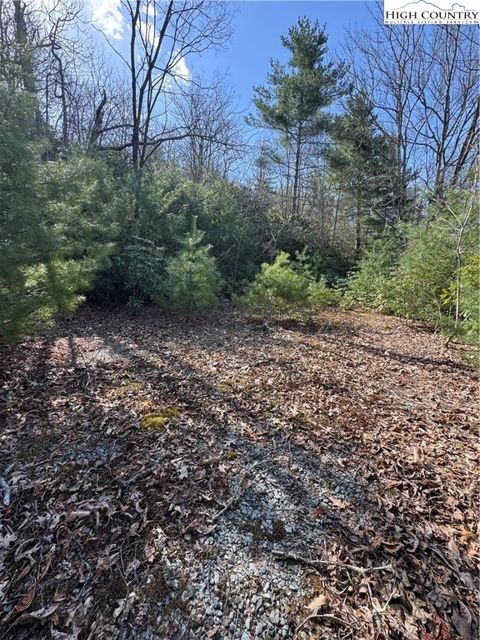 Photo of 7797 Huskins Drive #Tract 4, Newland, NC 28657 (MLS # 255090)