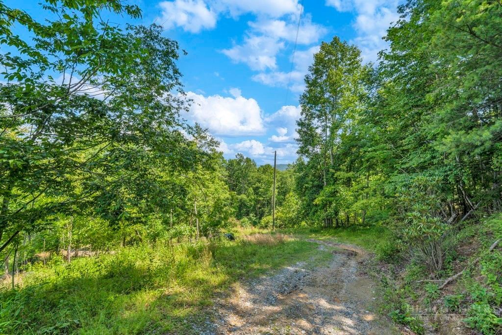 Photo of TBD Drake Drive, Vilas, NC 29692 (MLS # 263071)