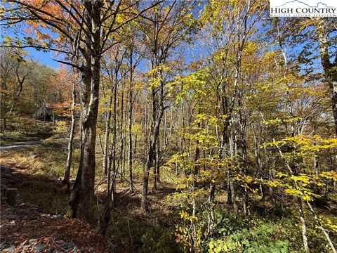 Photo of Lot 77 Rock Spring Circle, Sugar Mountain, NC 28604 (MLS # 252875)