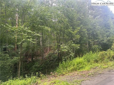 Vacant Land For Sale - LOT 3 Cedar Cove Lane<br/> Ashe County, Fleetwood, NC 28626