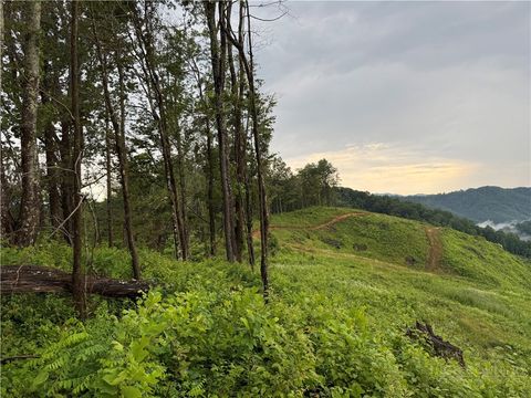 Photo of Lot 1 S Big Horse Creek Road, Lansing, NC 28643 (MLS # 261517)