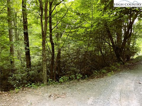 Photo of 104 Willow Run, Beech Mountain, NC 28604 (MLS # 250616)