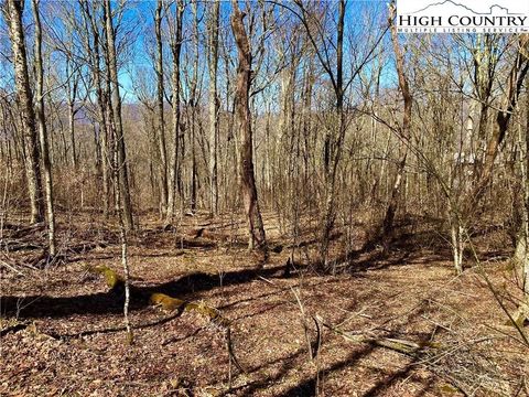 Photo of 38 Sugar Tree Ln, Sugar Mountain, NC 28604 (MLS # 261339)