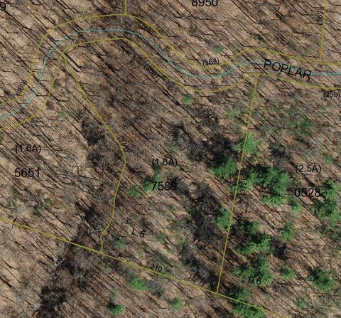 Photo of TBD Poplar Drive, Jefferson, NC 28640 (MLS # 261335)