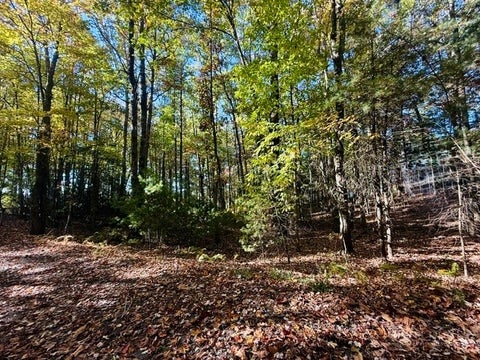 Photo of 11 Greenview, Jefferson, NC 28640 (MLS # 264941)