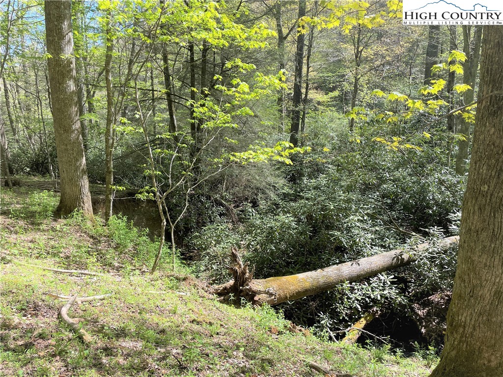 Blowing Rock, North Carolina 28605, United States, ,Land,Active,72884