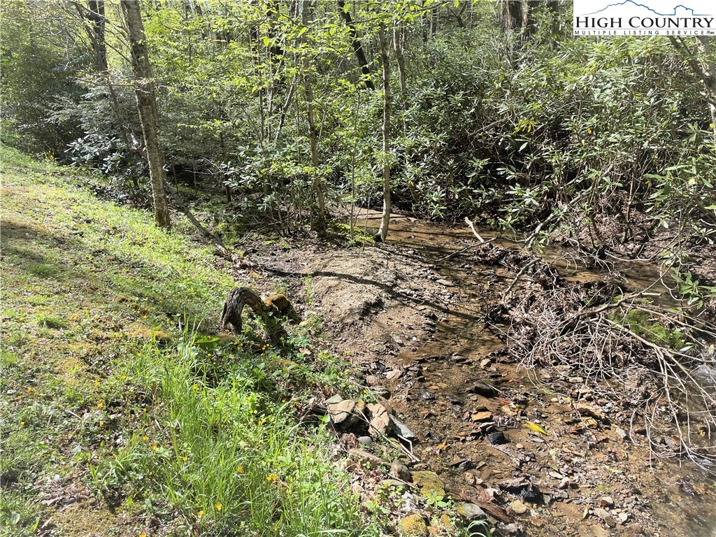 Blowing Rock, North Carolina 28605, United States, ,Land,Active,72884